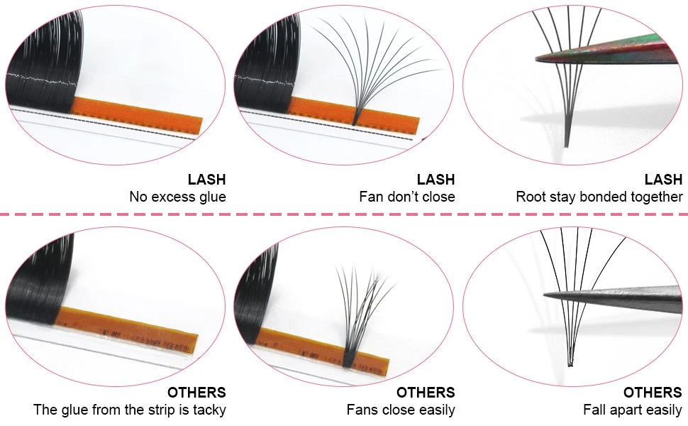 lash lash
