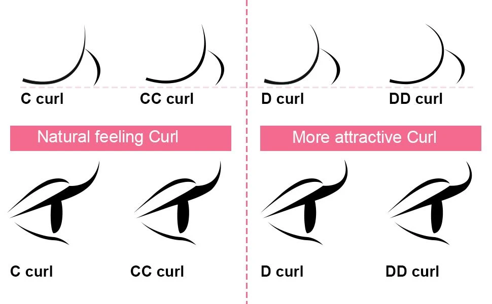lash curl lash curl