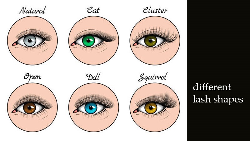 lash-shapes lash-shapes
