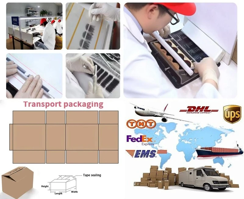 lashes transport lashes transport